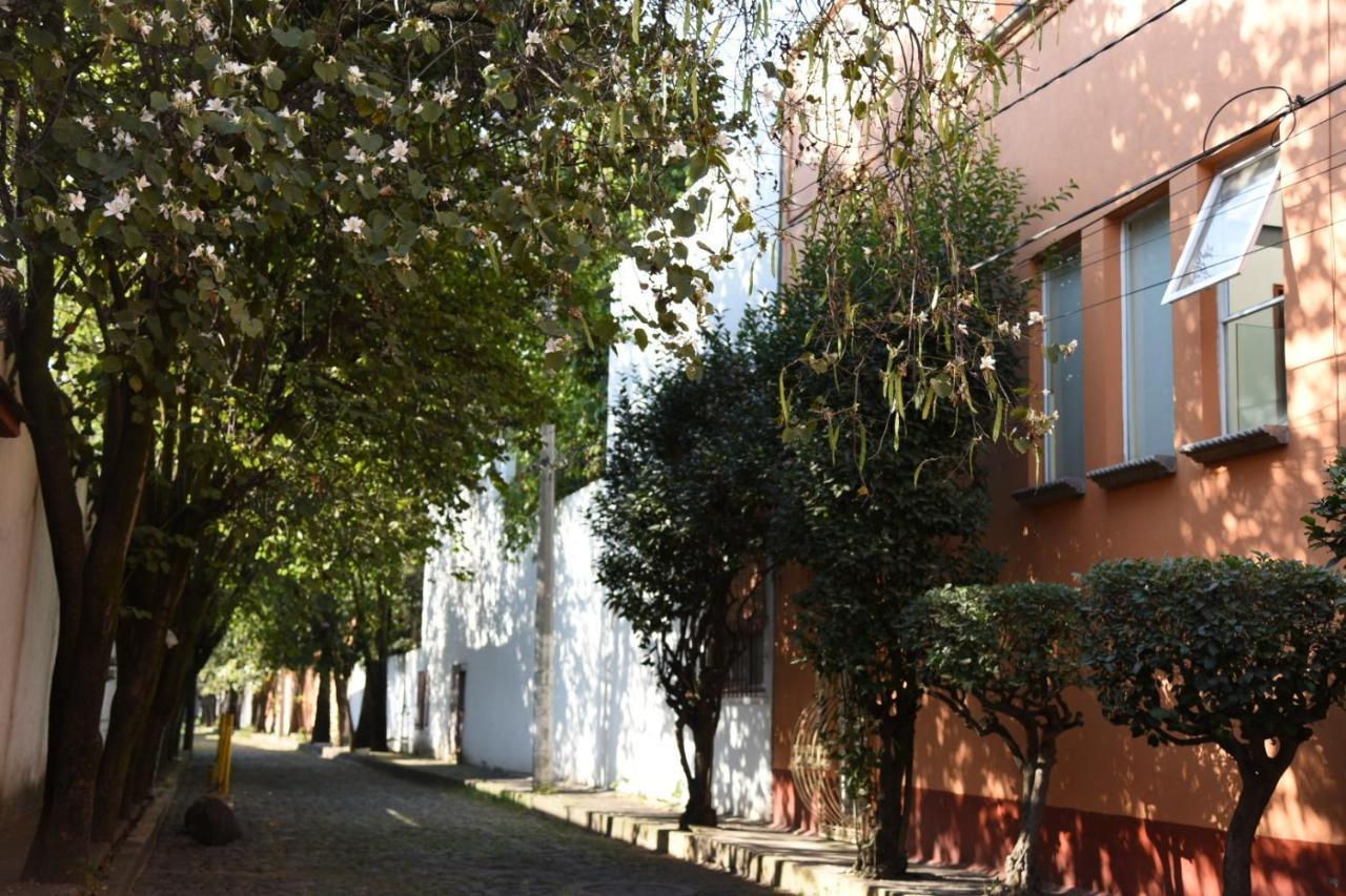 Casa Lulu Coyoacan Alvaro Obregon Exterior photo